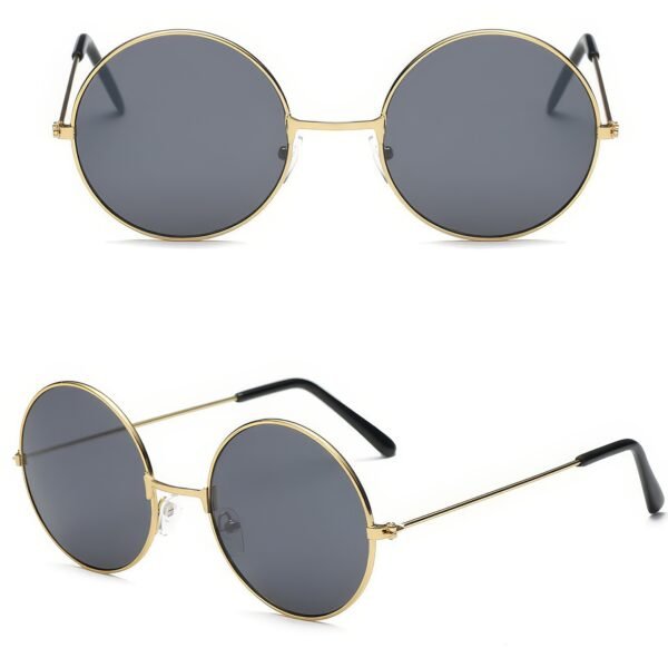 Lunettes de Soleil - Look Classique et Tendance